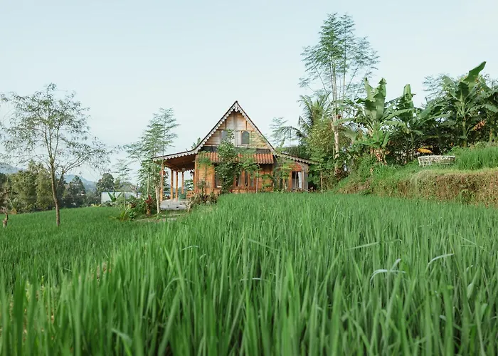 Vanilla Silebeng